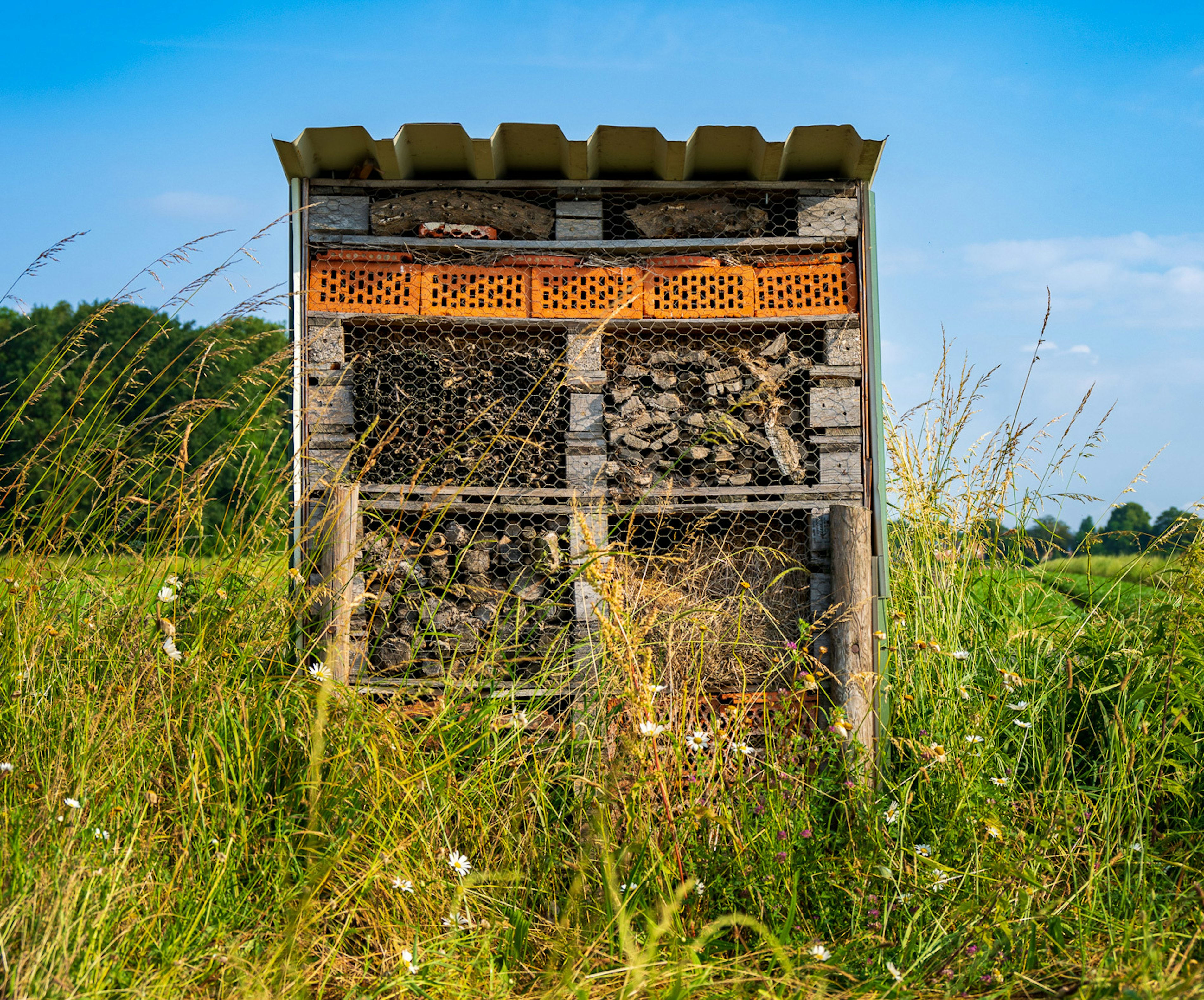 2023 06 Vitacress Straelen 45