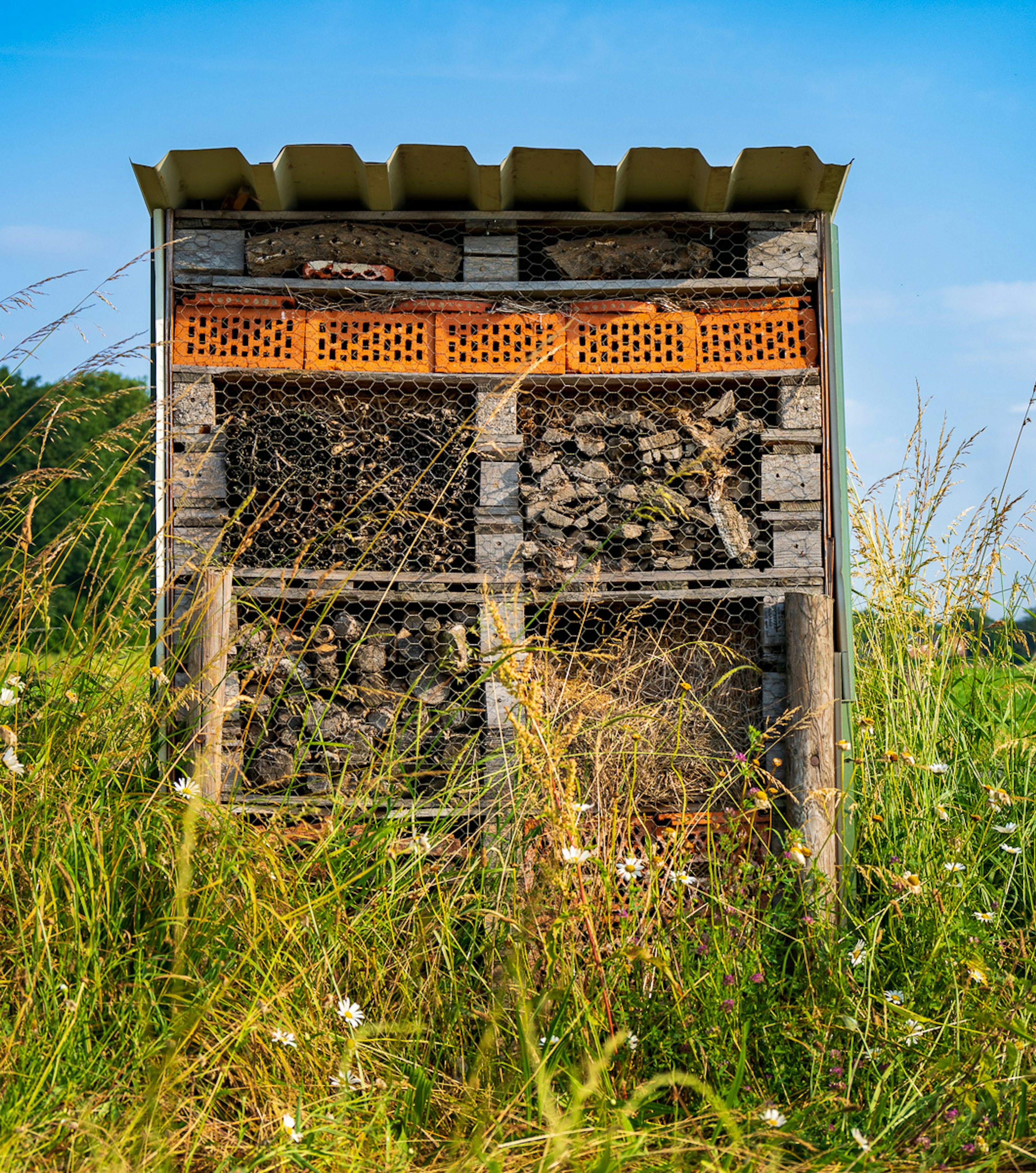 2023 06 Vitacress Straelen 45