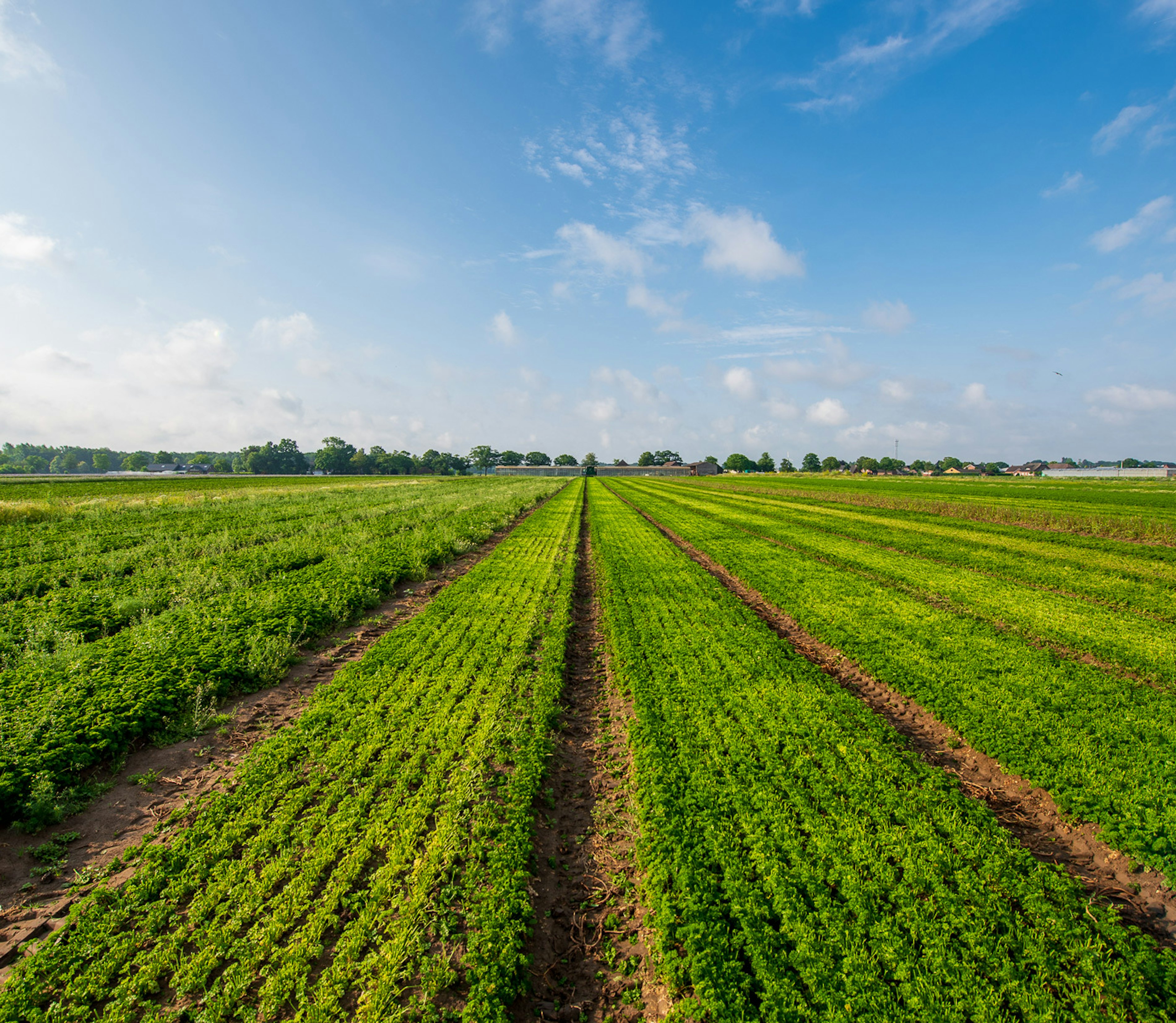 2023 06 Vitacress Straelen 8