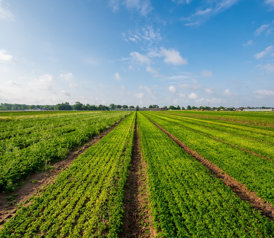 Placeholder for 2023 06 Vitacress Straelen 8