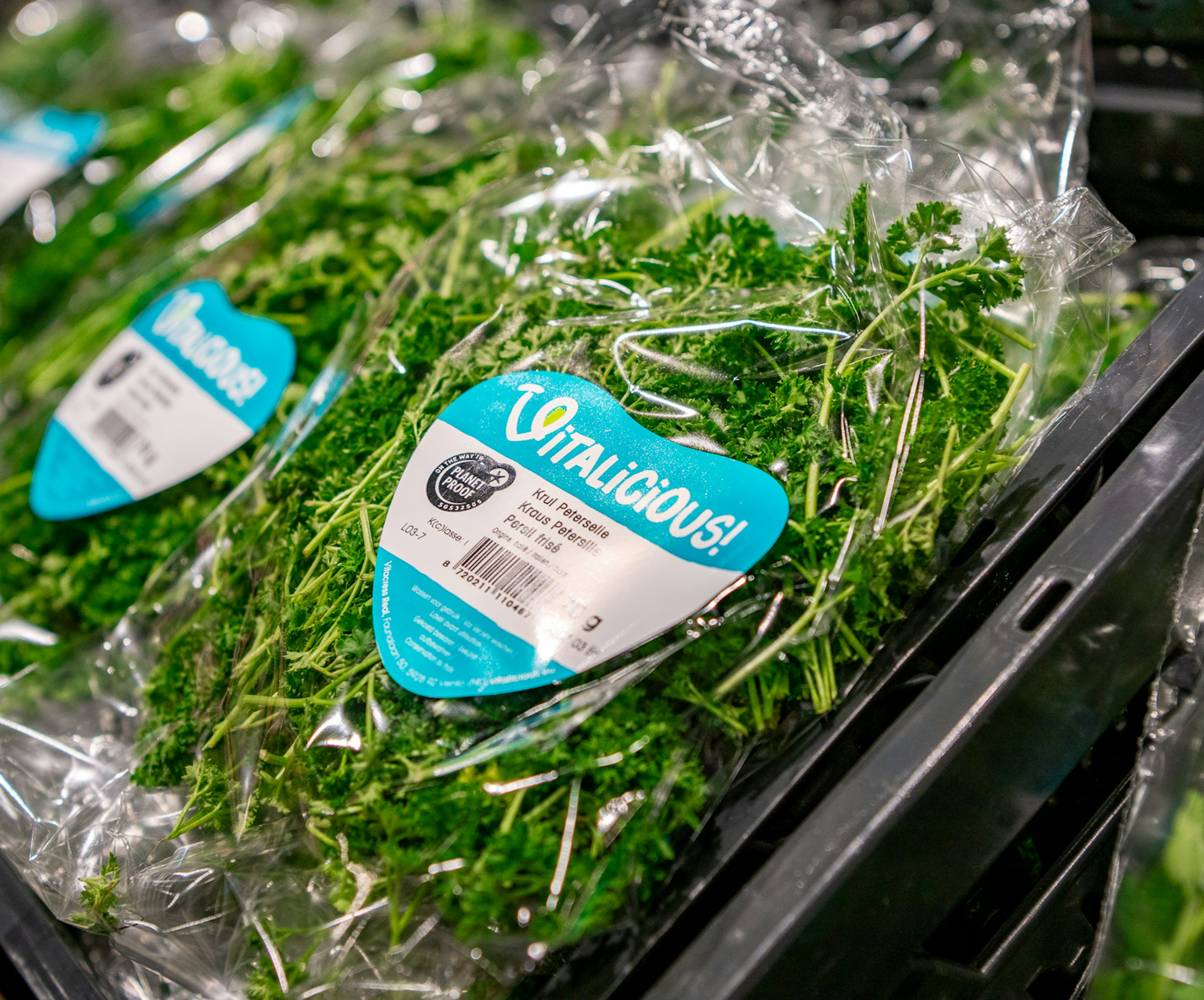 2024 01 25 Vitacress Sligro 14