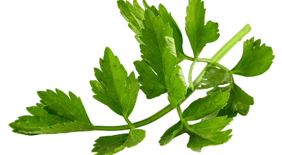 Placeholder for Celery