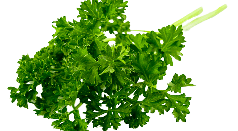 Placeholder for Curley Parsley