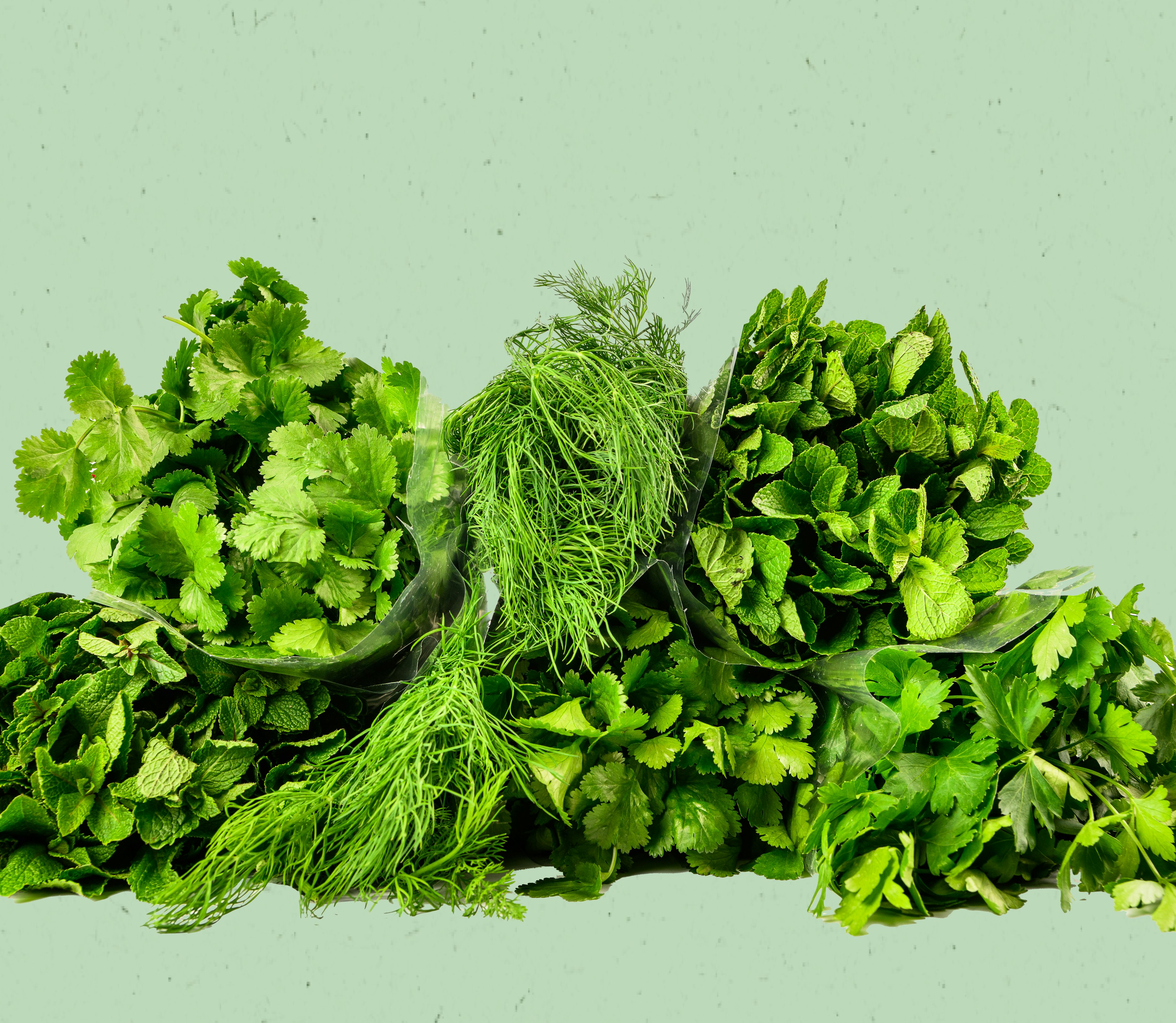 Bunch green background