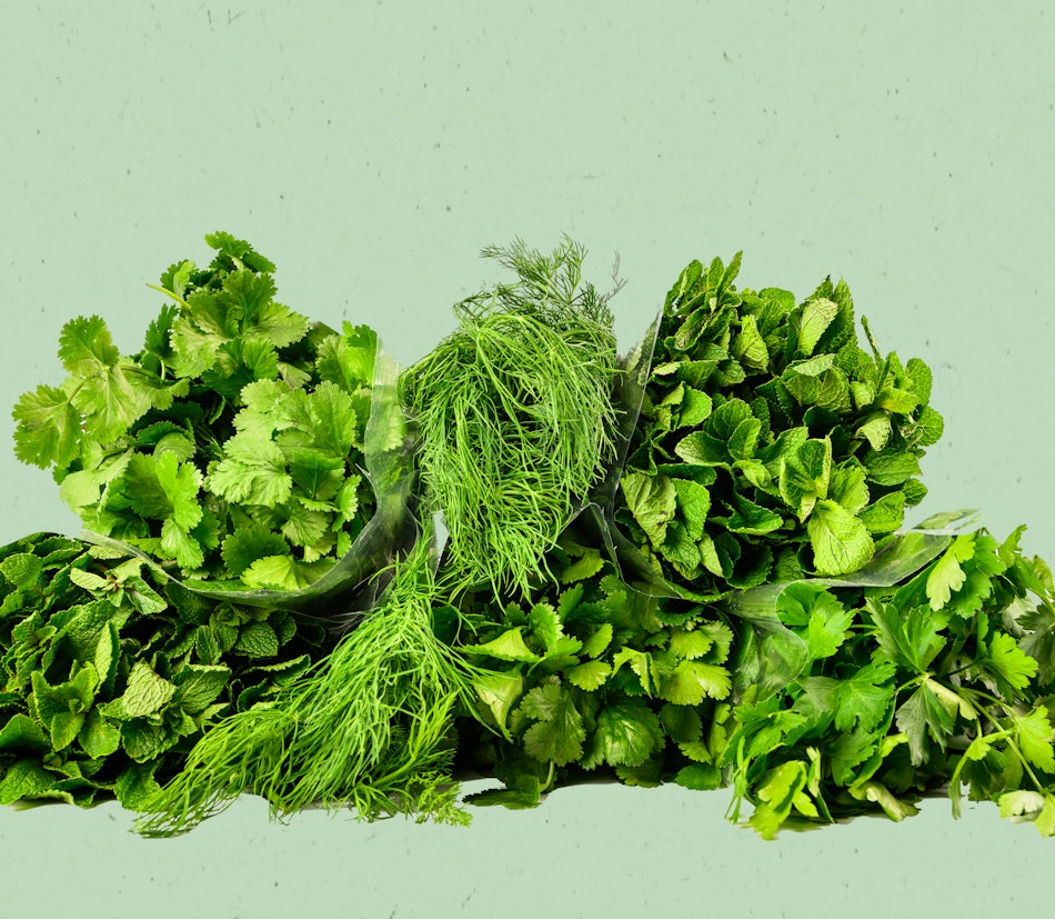 Placeholder for Bunch green background