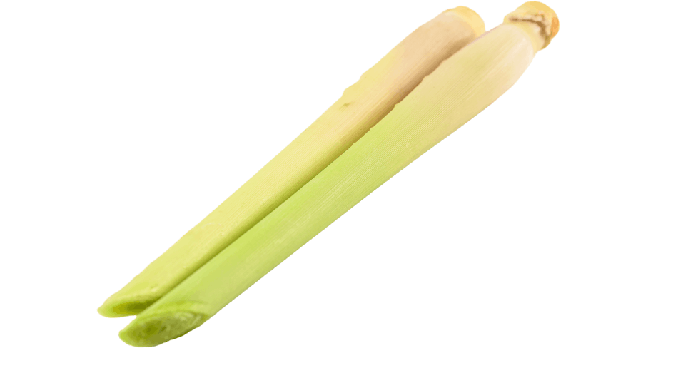 Placeholder for Lemongrass