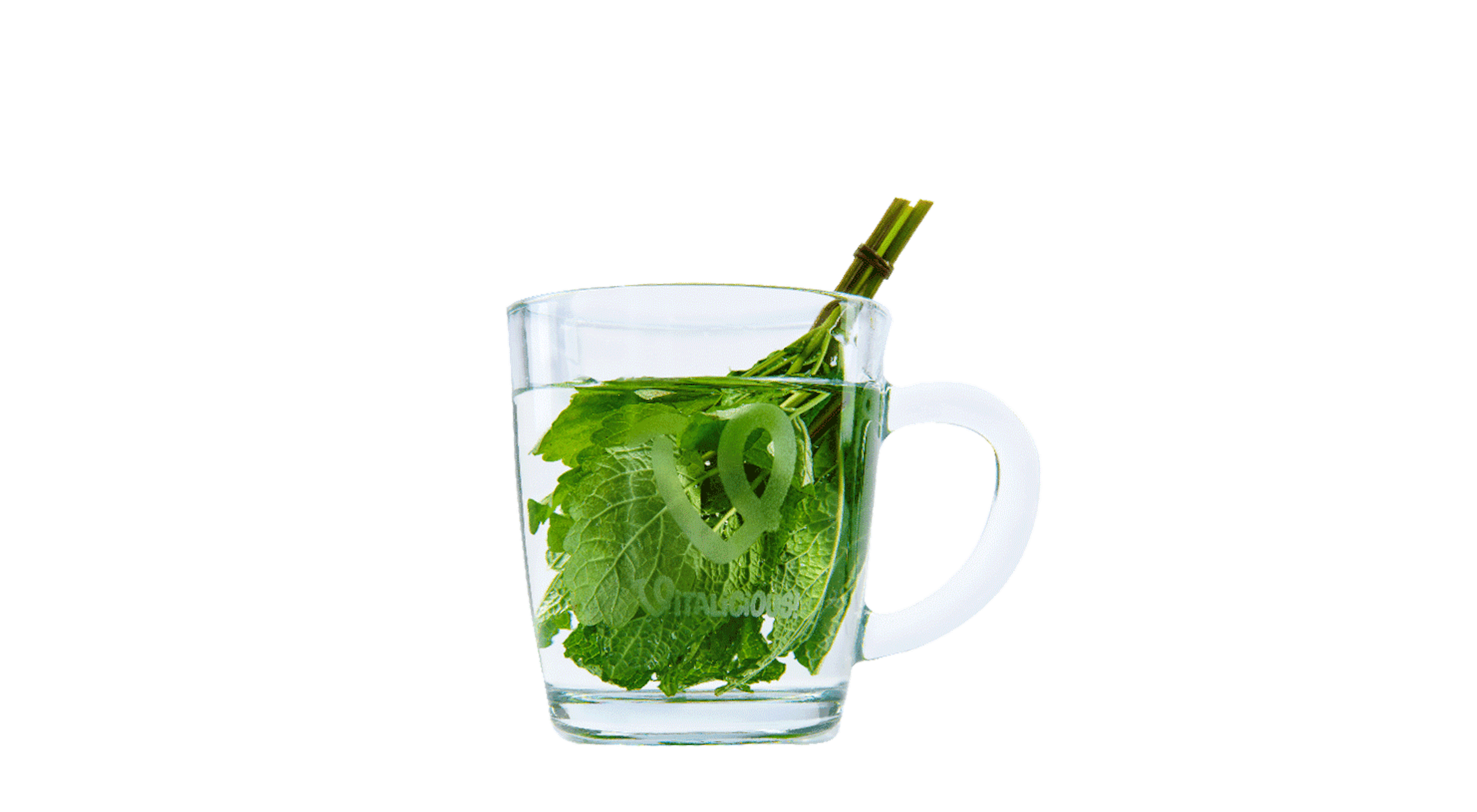 Lemon calm Citroenmelisse munt