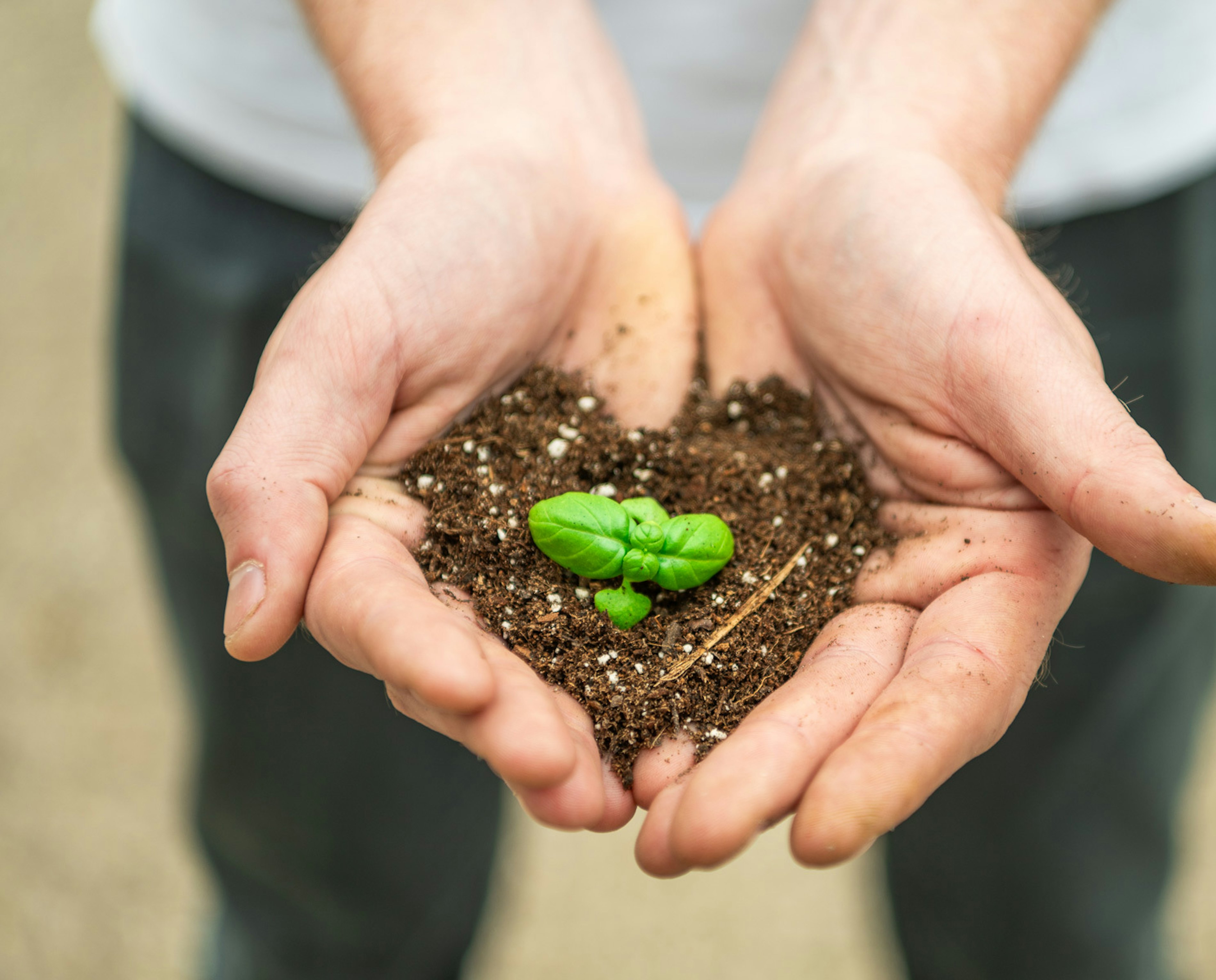 2024 06 14 Vitacress Real Semper Vere 45