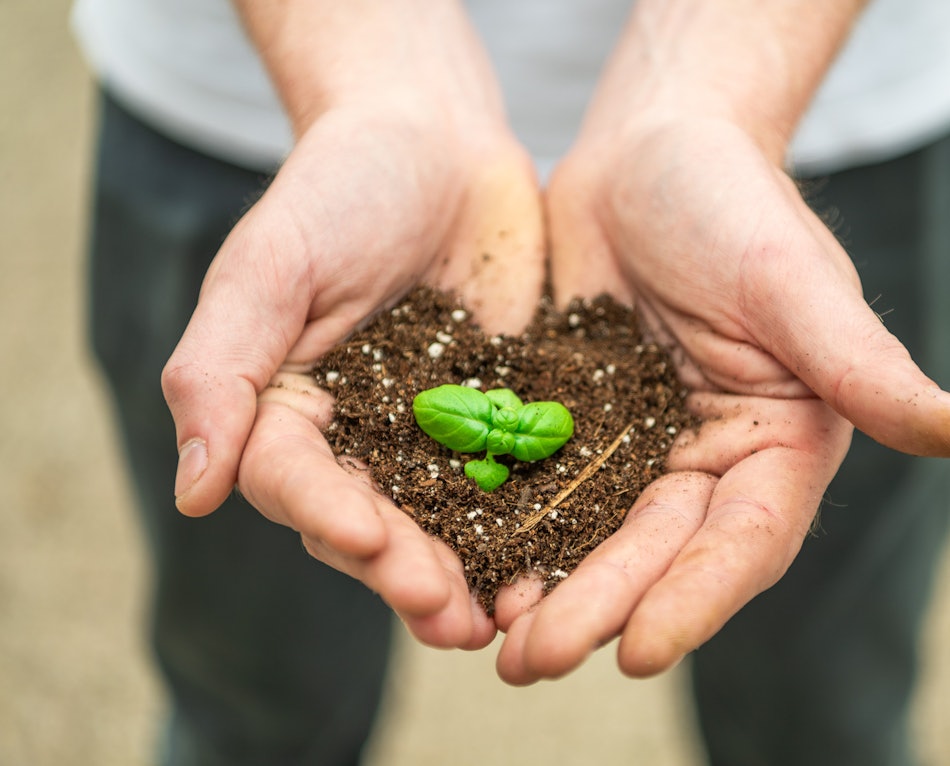 Placeholder for 2024 06 14 Vitacress Real Semper Vere 45