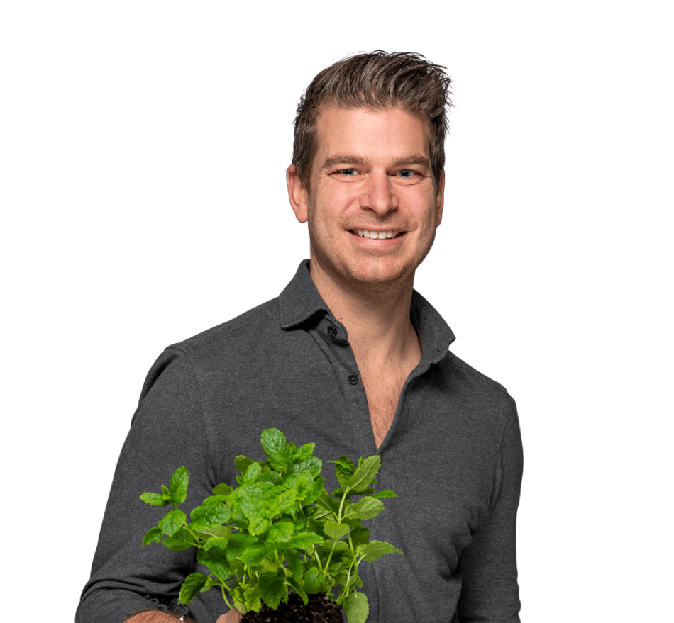 Placeholder for PLP 2302 Medium