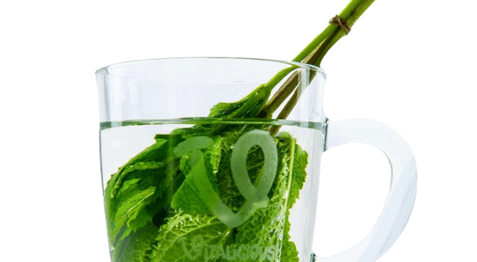 Placeholder for Mint to be Munt