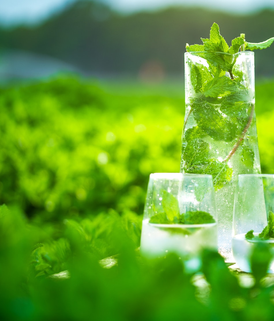 Placeholder for 2023 06 Vitacress Straelen 144