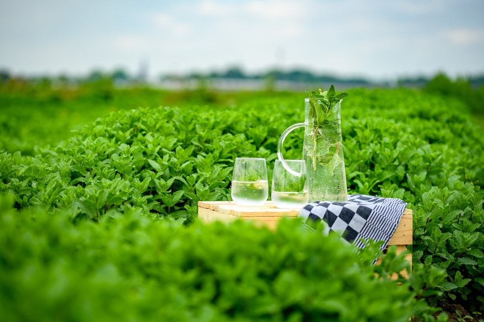 Placeholder for 2023 06 Vitacress Straelen 148