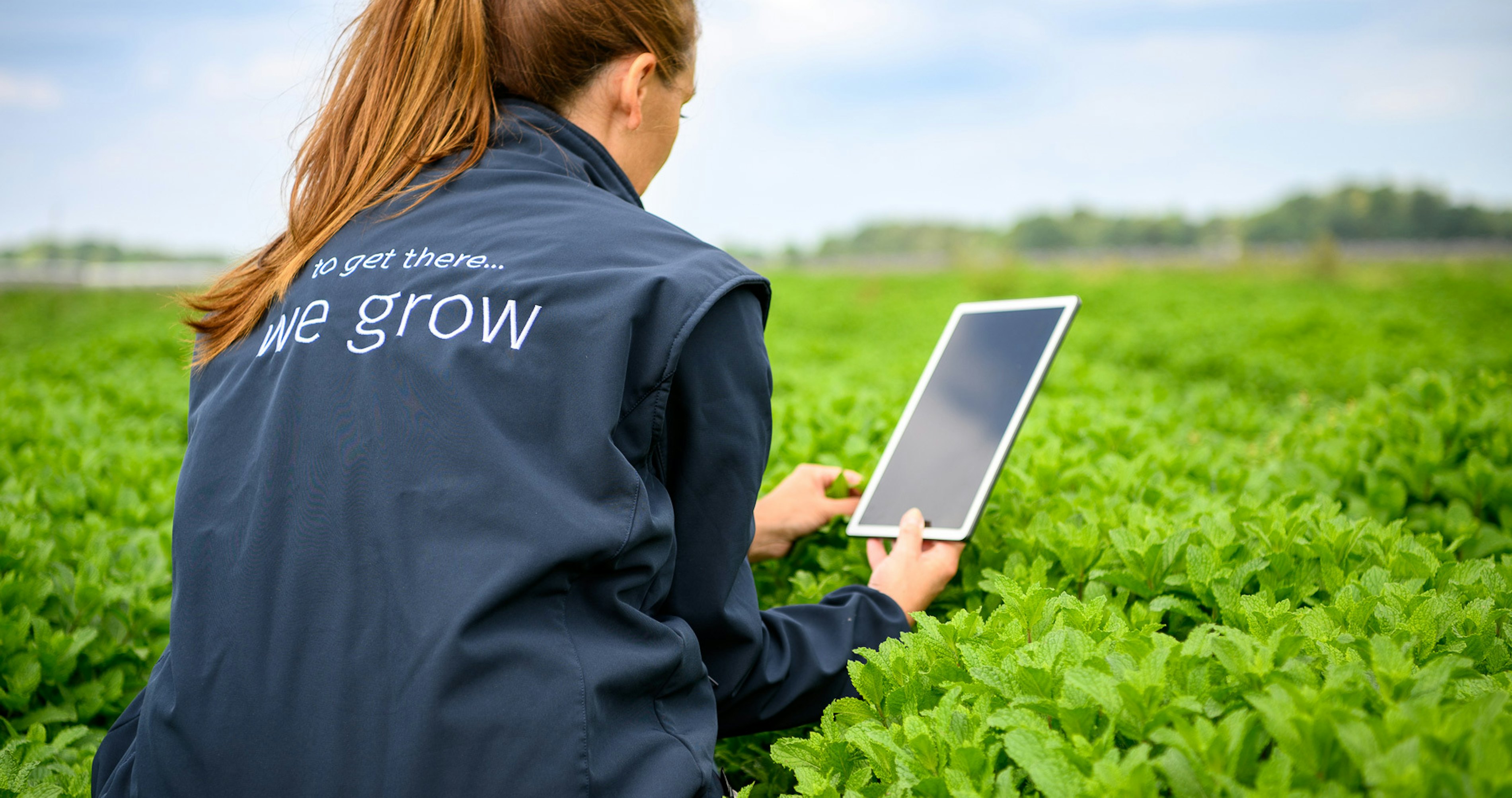 2023 06 Vitacress Straelen 179