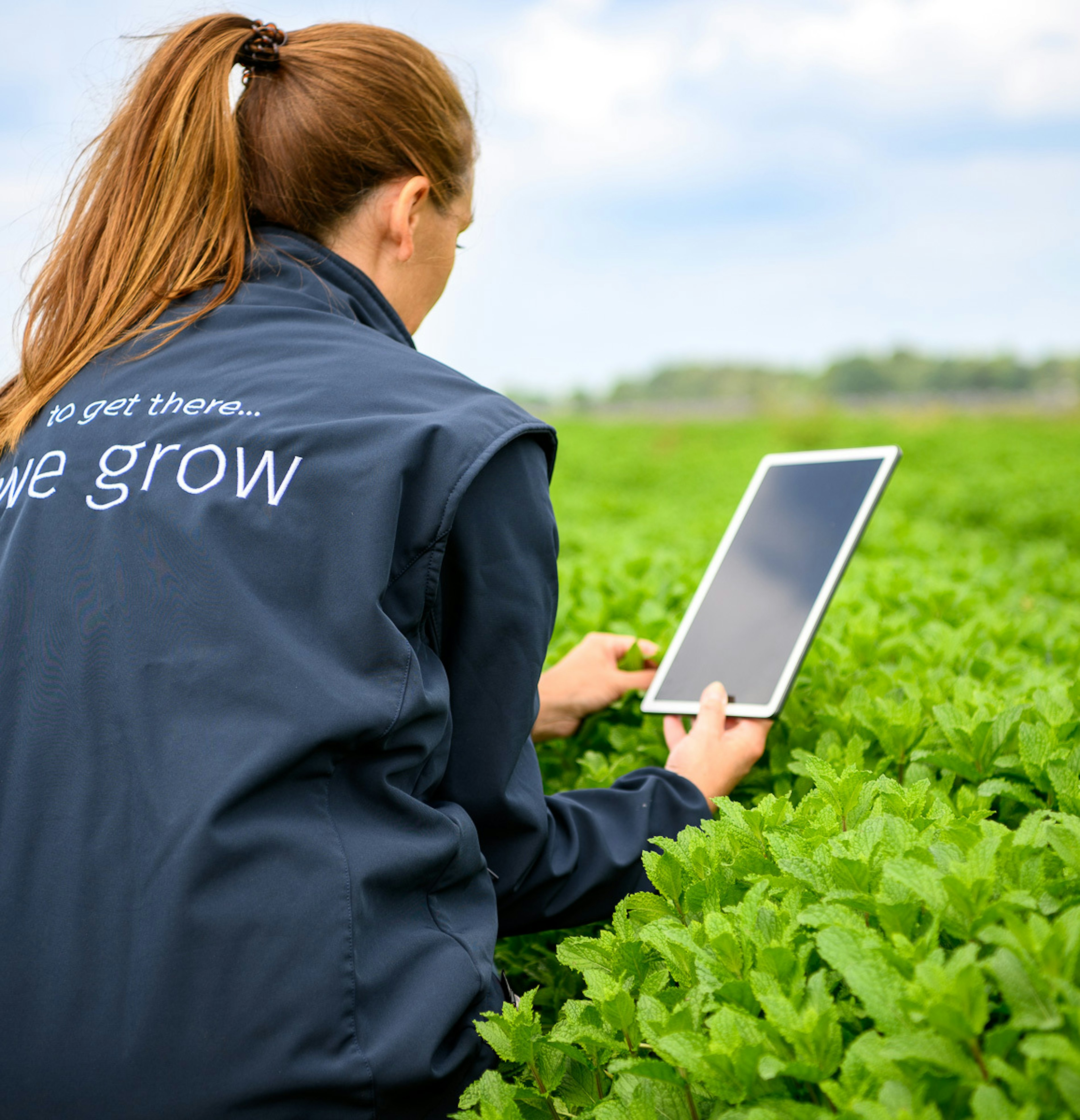 2023 06 Vitacress Straelen 179