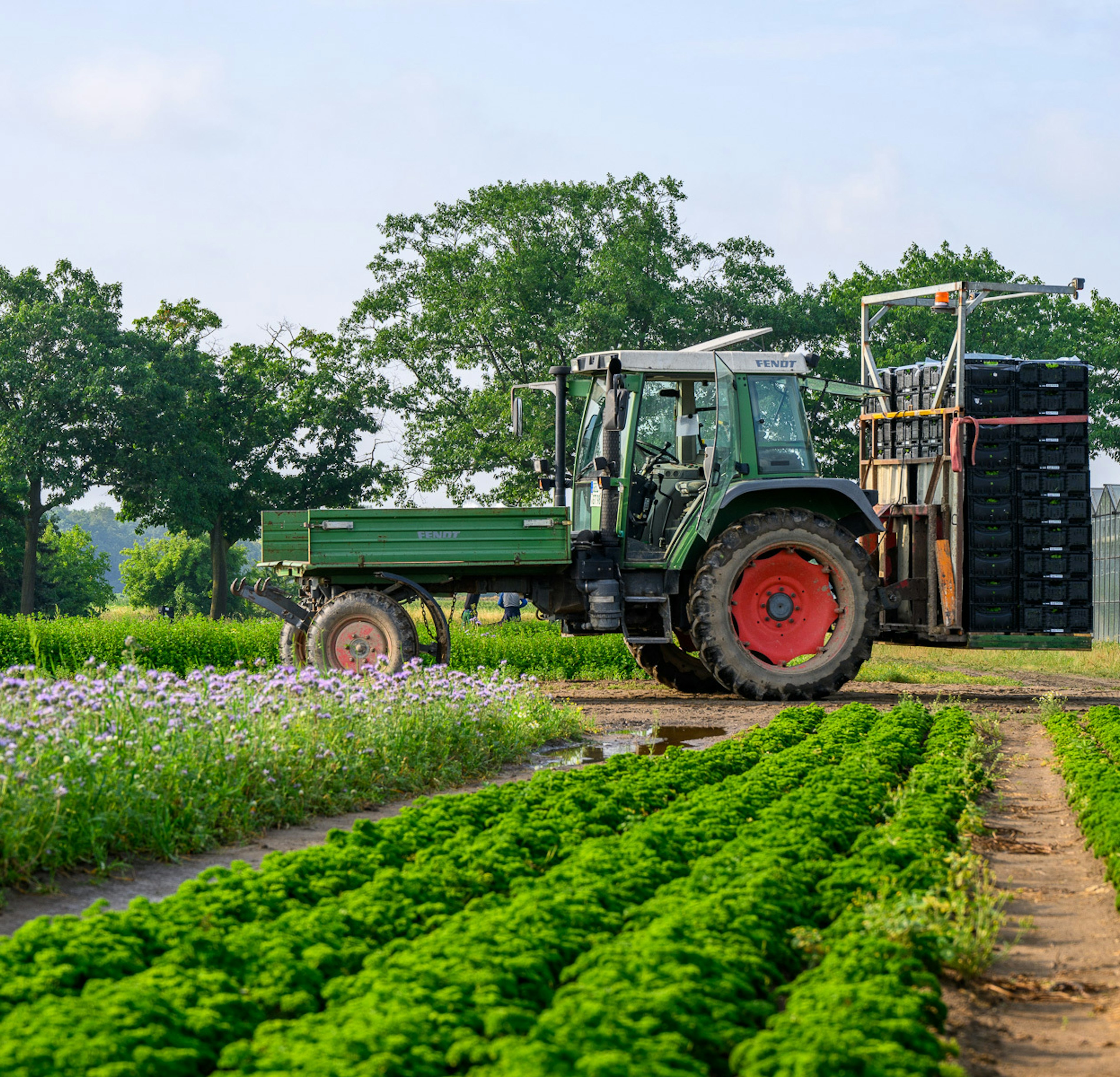 2023 06 Vitacress Straelen 34