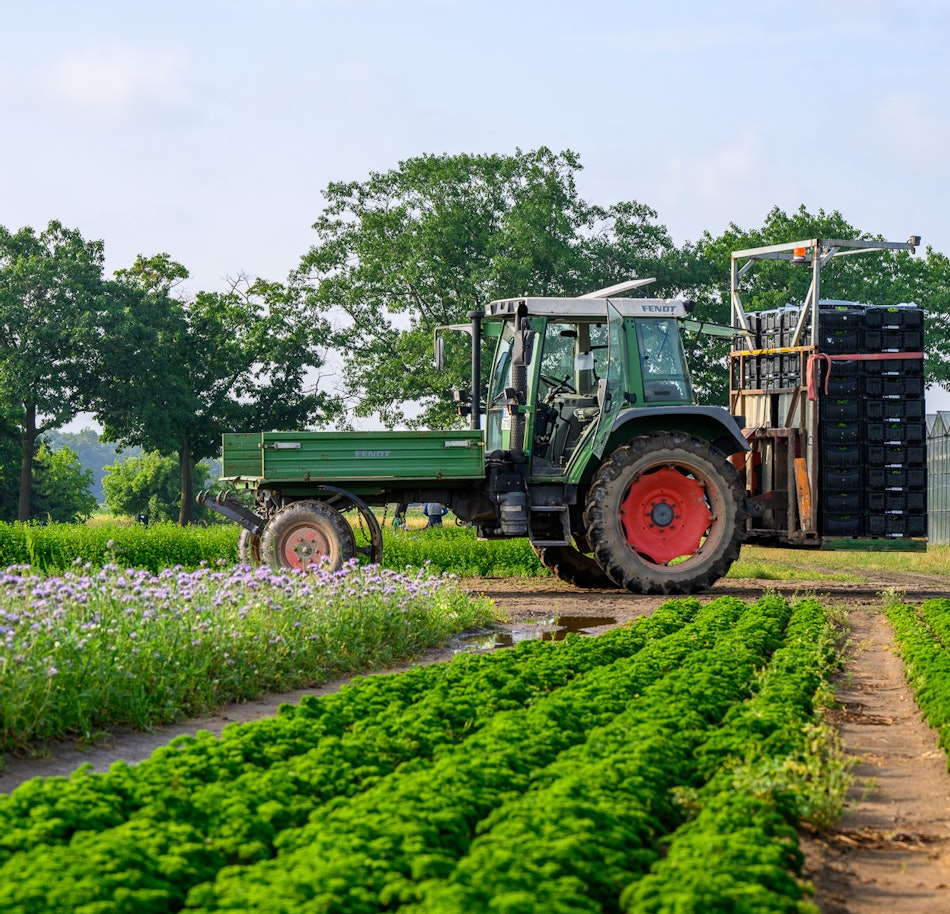 Placeholder for 2023 06 Vitacress Straelen 34