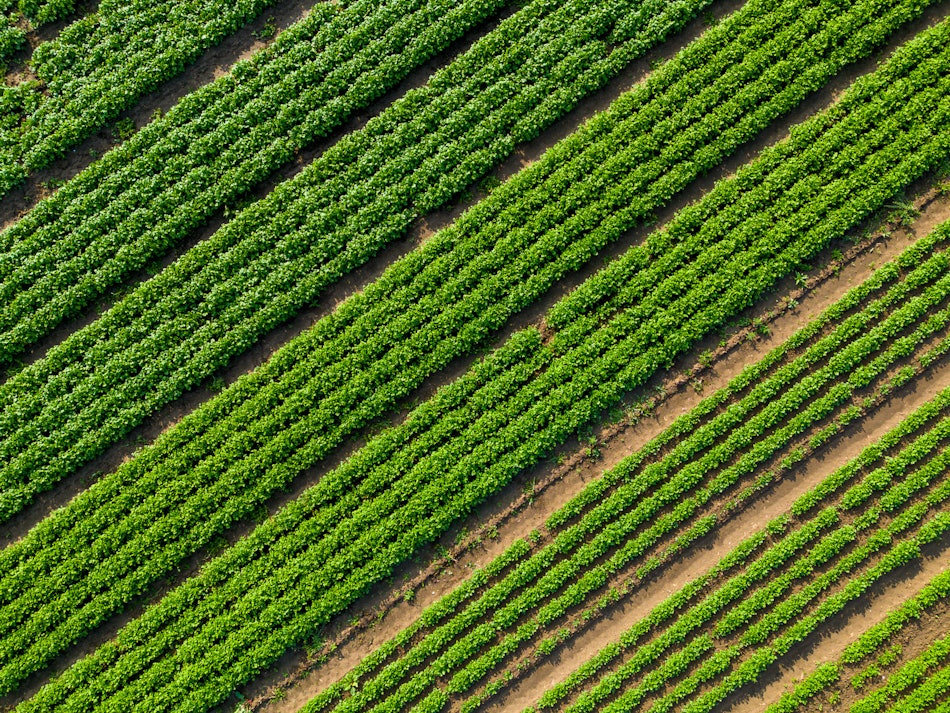 Placeholder for 2023 06 Vitacress Straelen 68