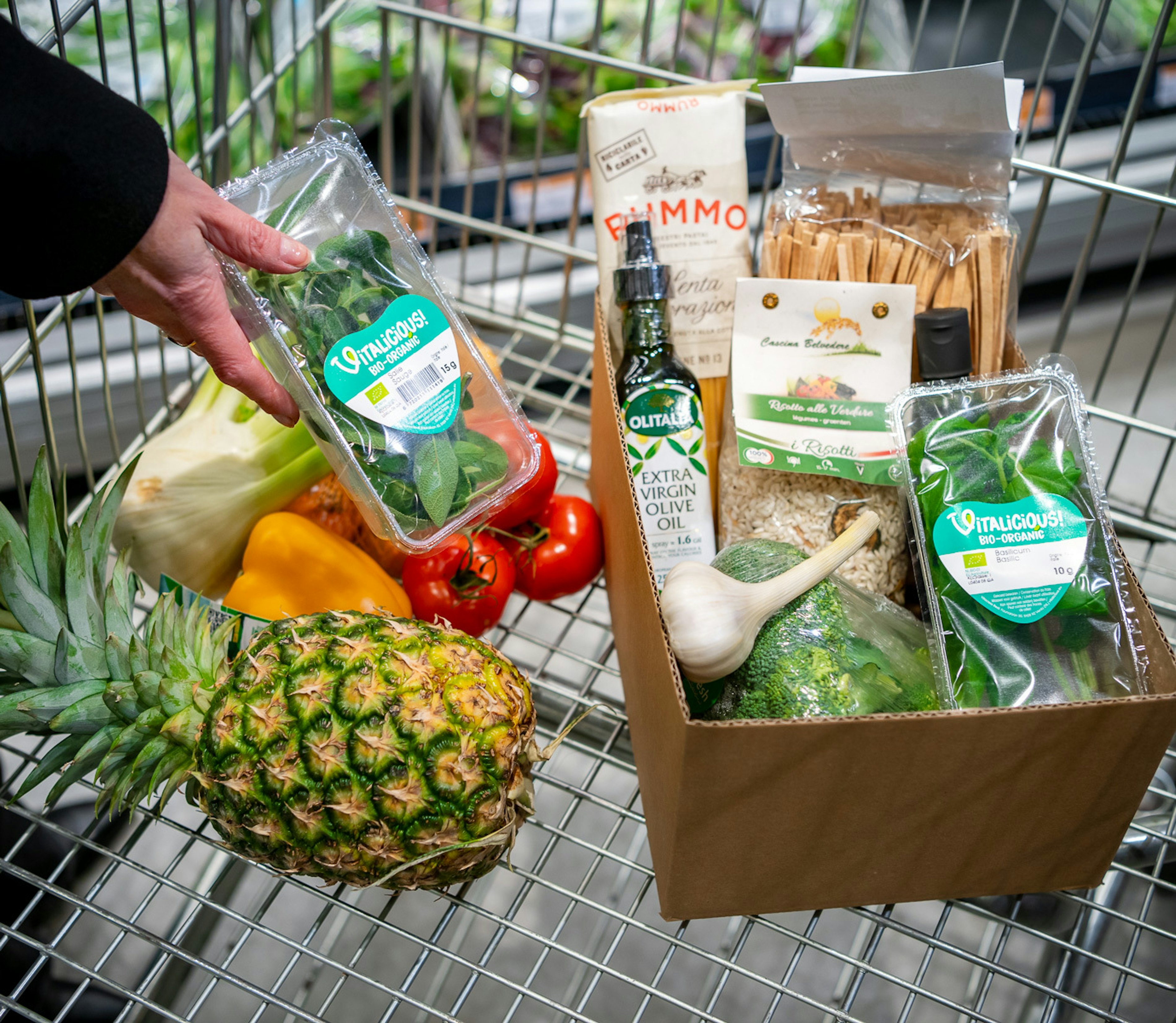 2024 01 25 Vitacress Sligro 80