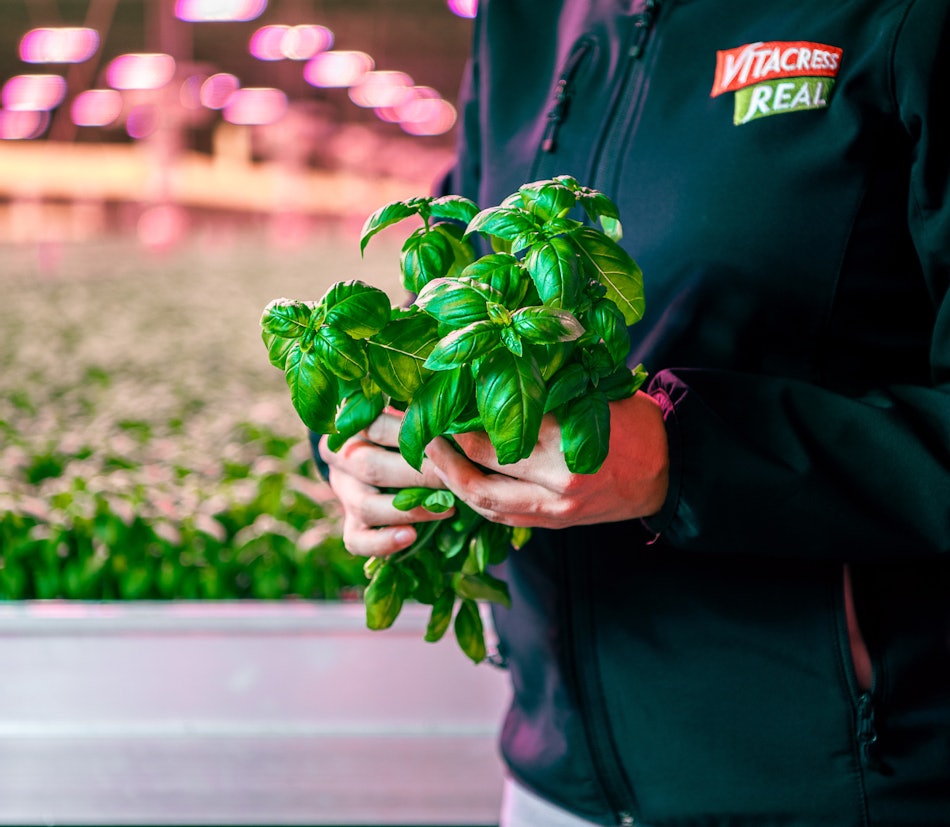 Placeholder for 2024 06 14 Vitacress Real Semper Vere 23 A4 klein