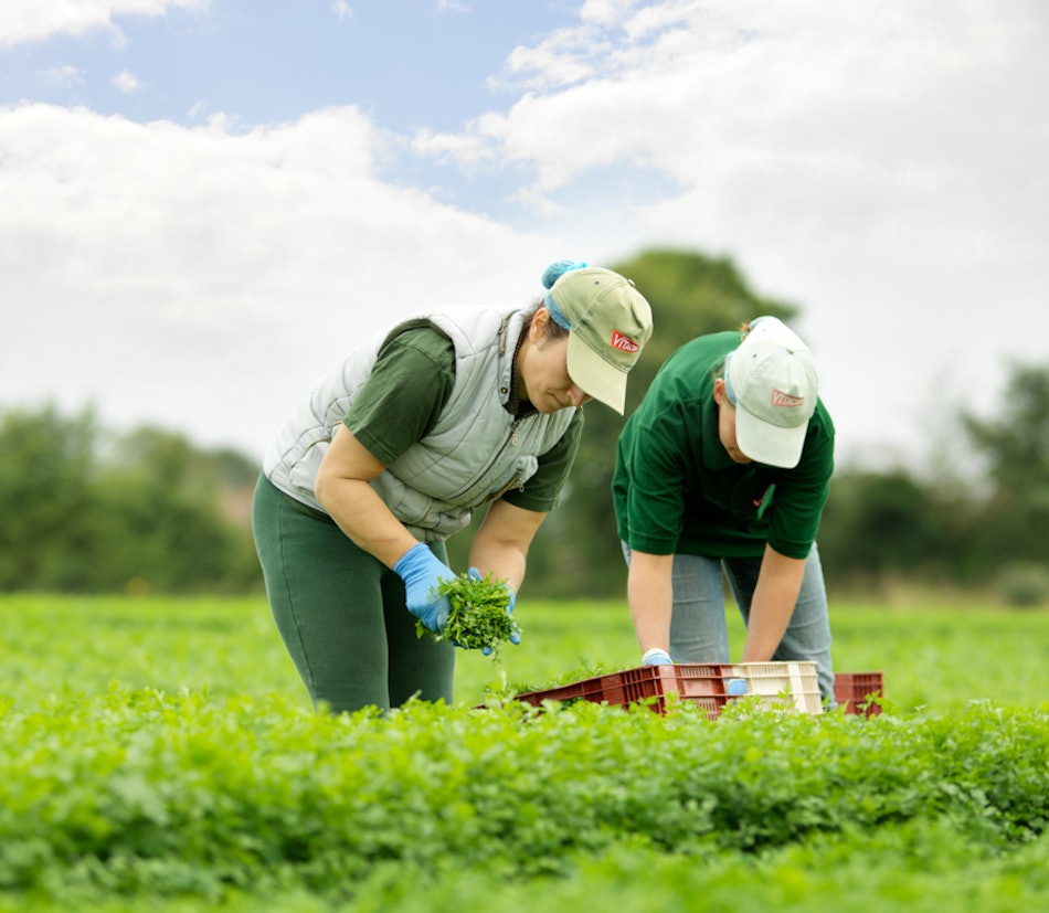 Placeholder for 2139 1202 low res