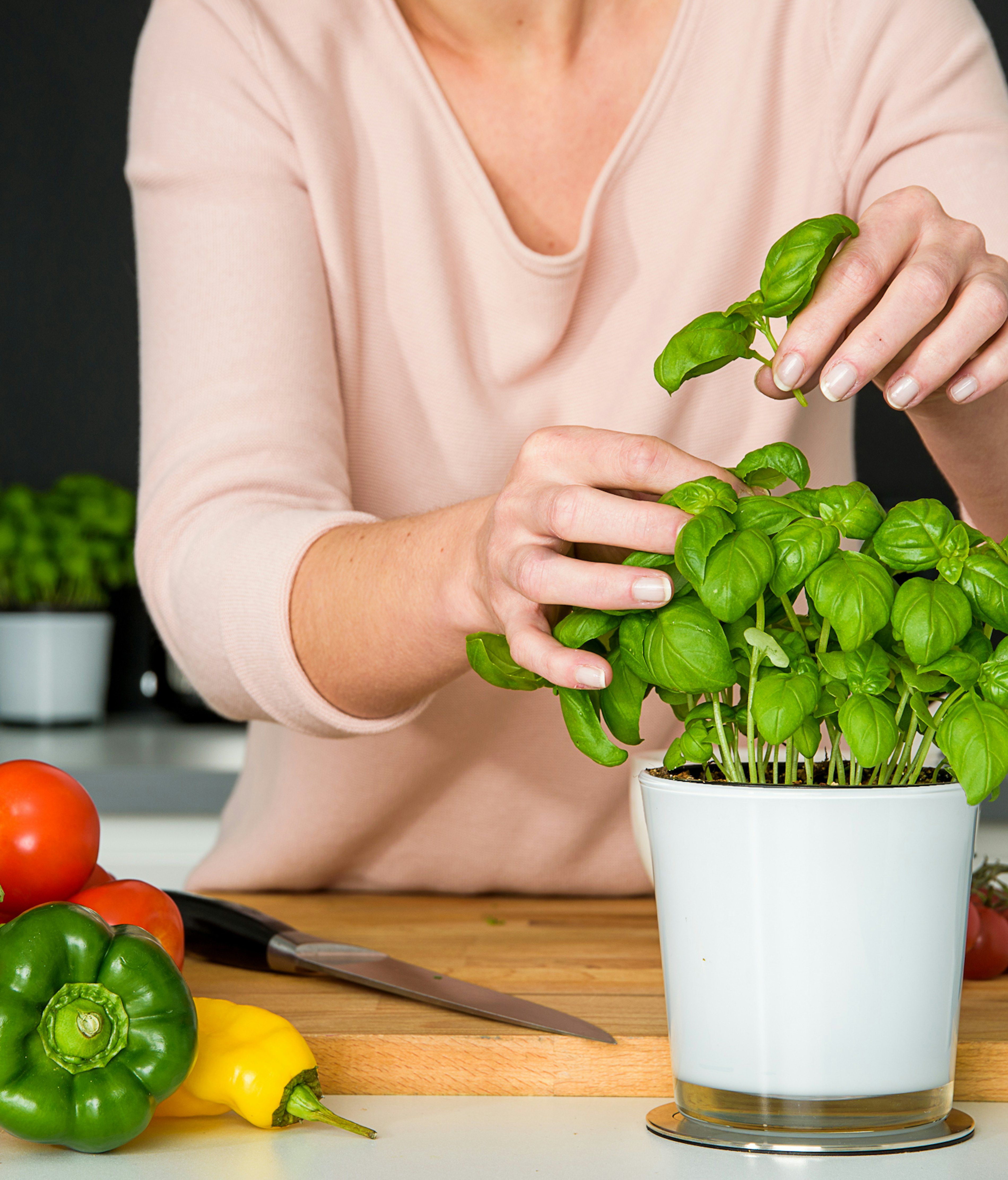 2017 10 vitacress Real 52 bewerkt