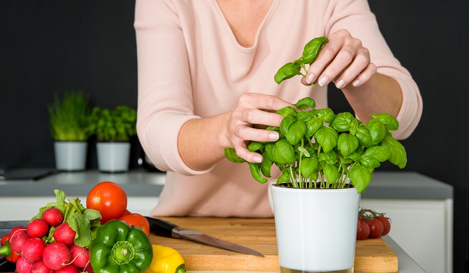 Placeholder for 2017 10 vitacress Real 52 bewerkt