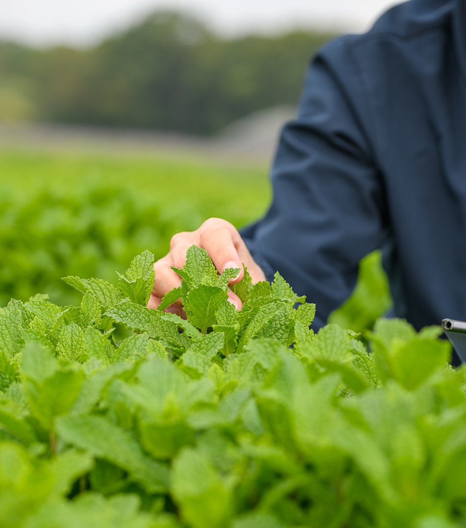 Placeholder for 2023 06 Vitacress Straelen 167 A4