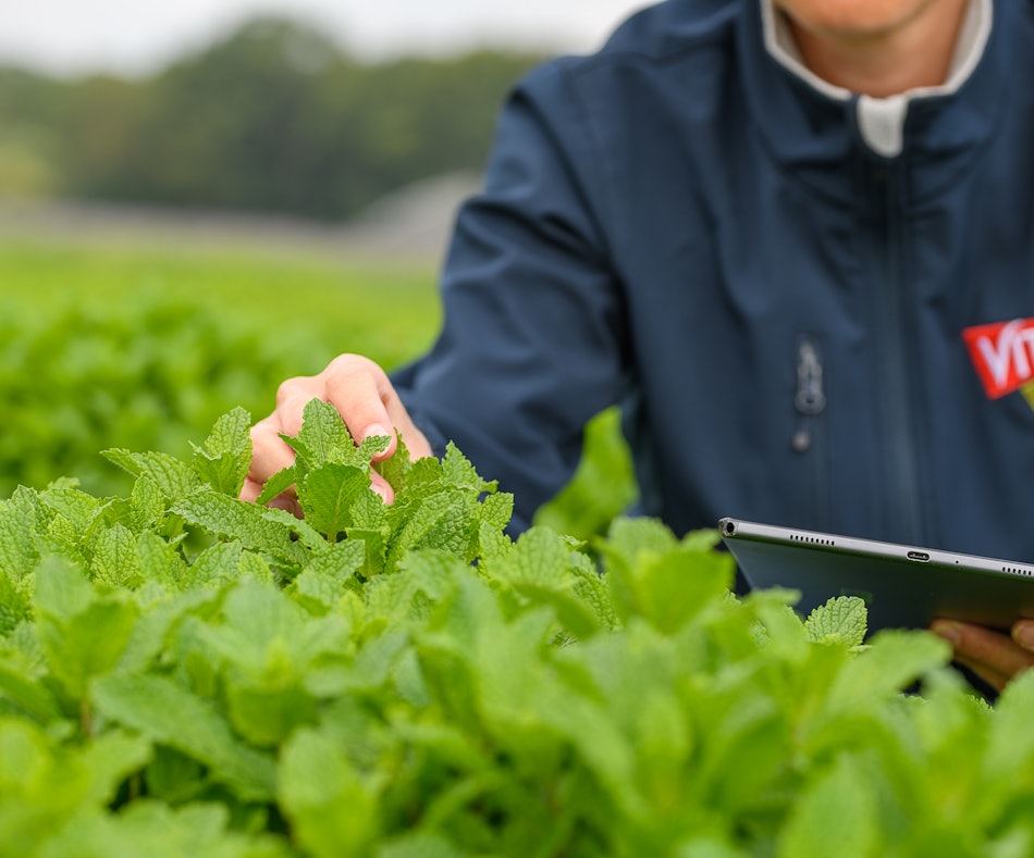 Placeholder for 2023 06 Vitacress Straelen 167 A4