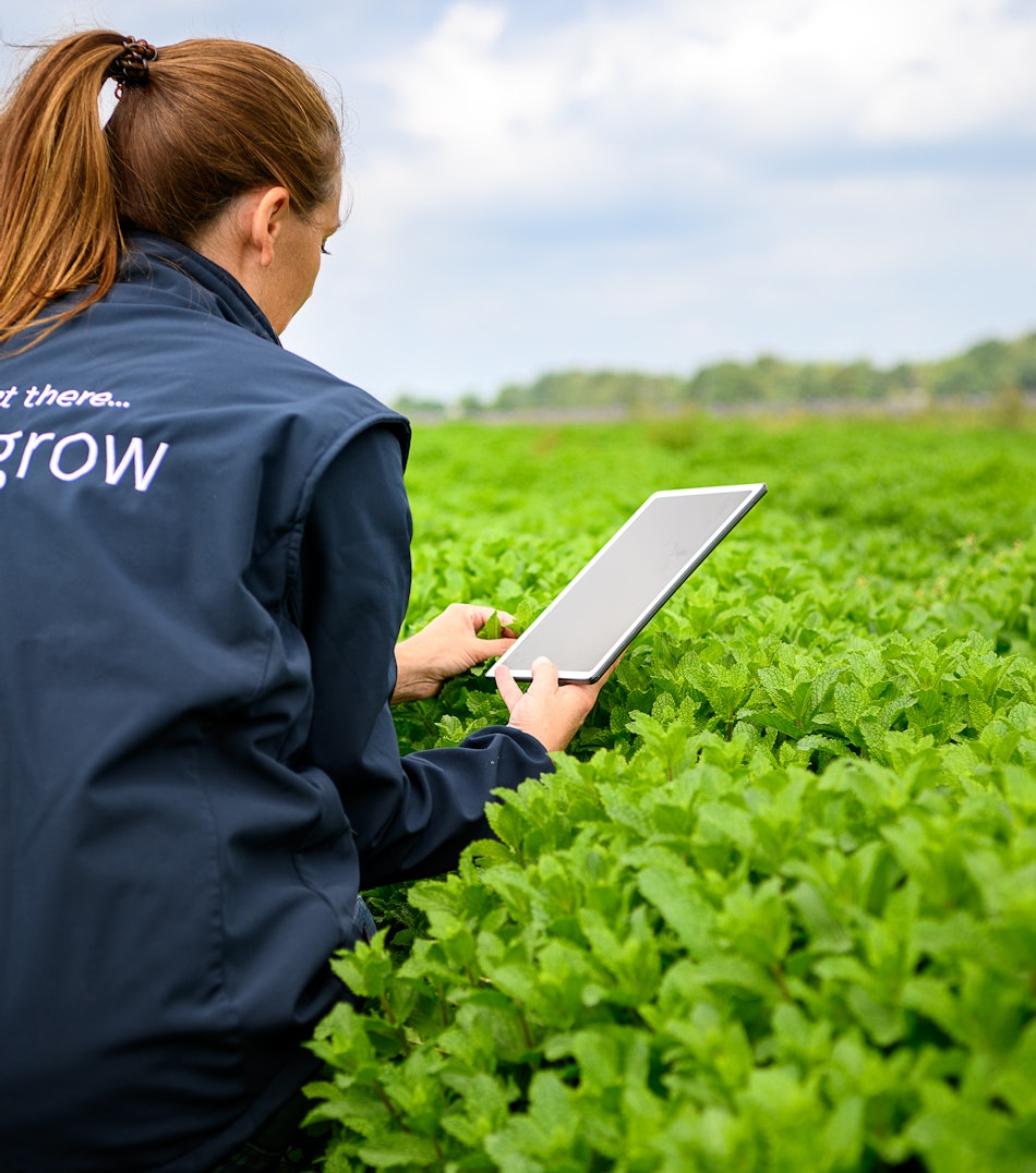 Placeholder for 2023 06 Vitacress Straelen 180 A4