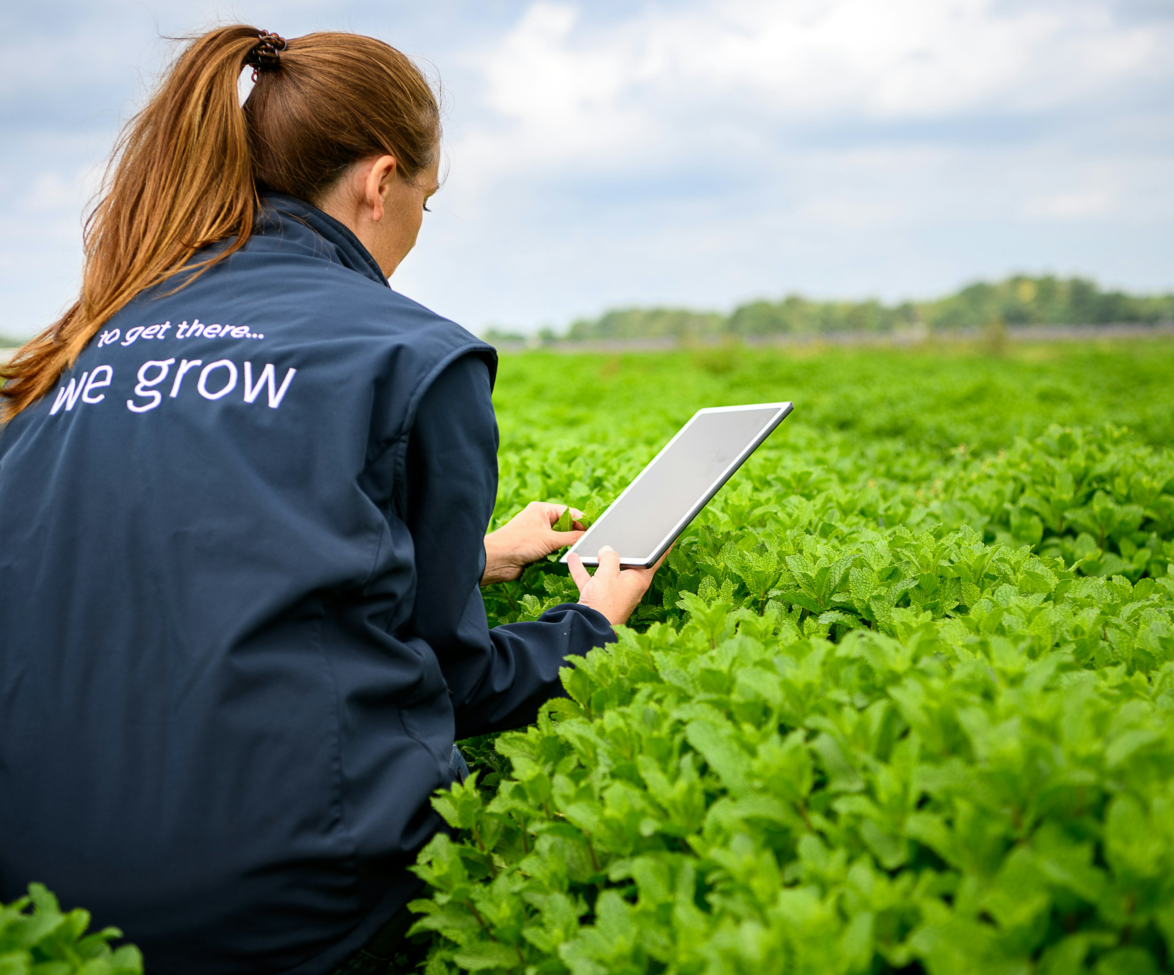 2023 06 Vitacress Straelen 180 A4