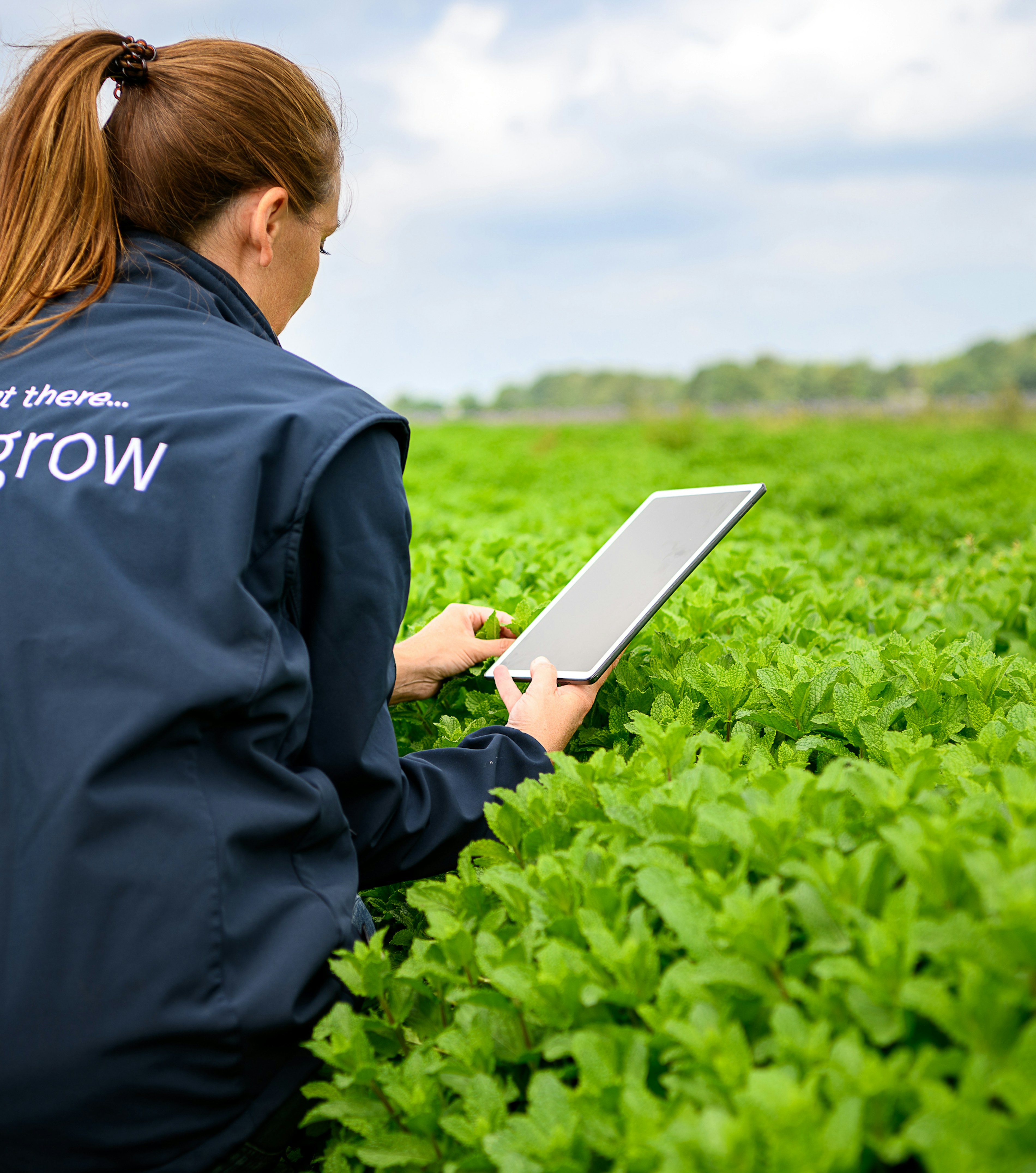 2023 06 Vitacress Straelen 180 A4