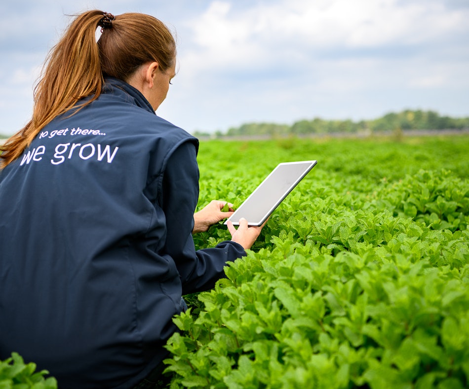 Placeholder for 2023 06 Vitacress Straelen 180 A4